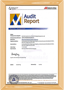 Audit Report