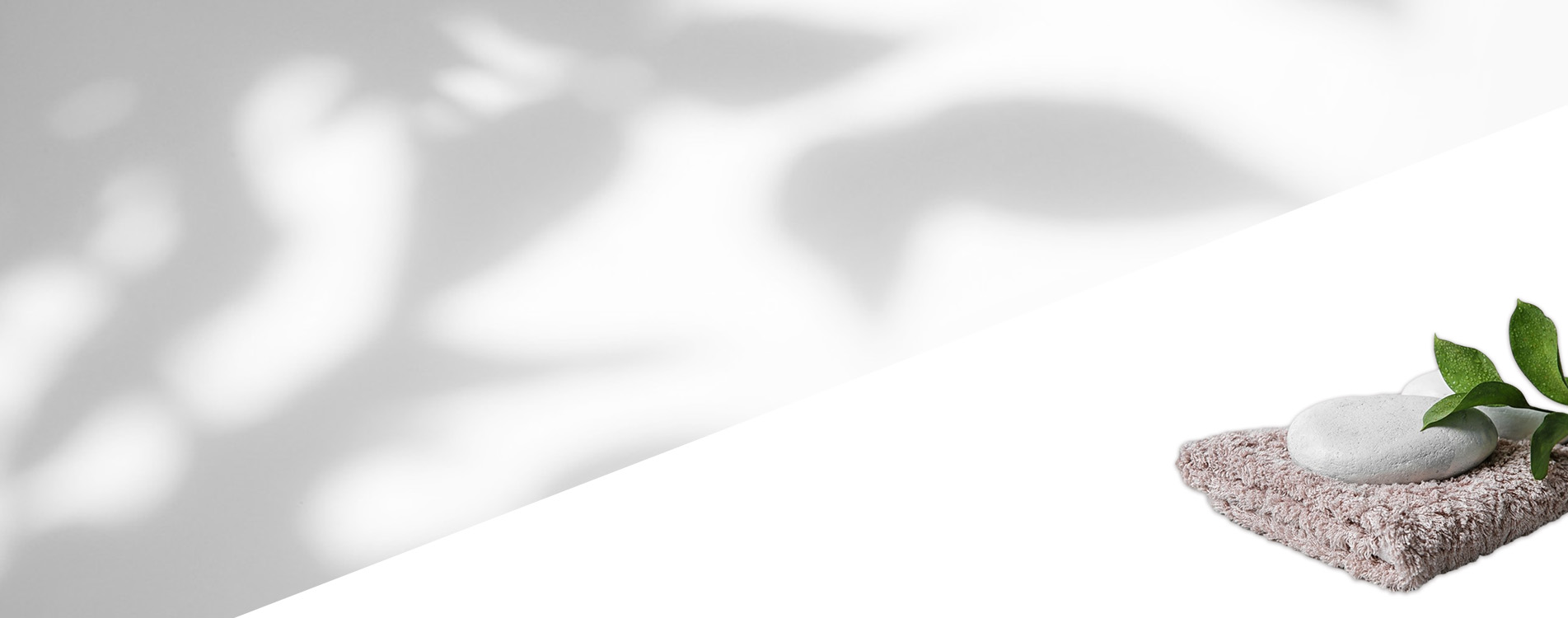 banner2